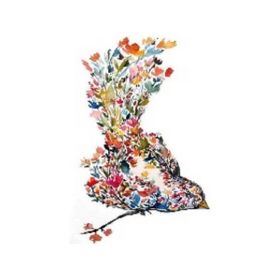 Canvas Hobby Zarif Kuş Rulo 90x110 cm Sayılarla Boyama Seti