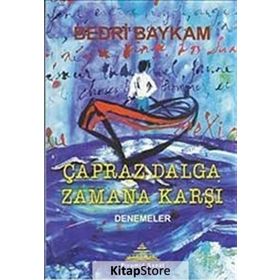 Çapraz Dalga Zamana Karşı - Bedri Baykam