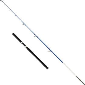 Captain 1411 Victor Boat 2 Parça 165 cm 30-160 gr Atar Tekne Kamışı