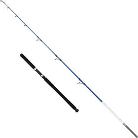 Captain 1411 Victor Boat 2 Parça 165 cm 30-160 gr Atar Tekne Kamışı