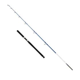 Captain 1411 Victor Boat 2 Parça 30-160 gr Atar Tekne Kamışı