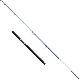 Captain 1411 Victor Boat 2 Parça 30-160 gr Atar Tekne Kamışı