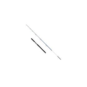 Captain 1411 Victor Boat 2 Parça 30-160 gr Atar Tekne Kamışı