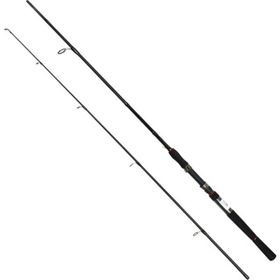 Captain 1741 CX-Flex 2 Parça 15-45 gr Action 240 cm Spin Kamışı