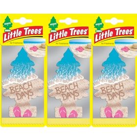 Car Freshner 3'lü Plaj Günleri Asma Koku