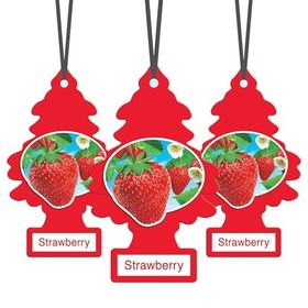 Car Freshner Çilek Asma Koku