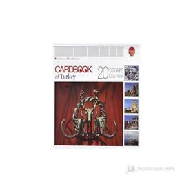 CARDBOOK OF TURKEY 20 POSCARDS TOGETHER - ERDAL YAZICI
