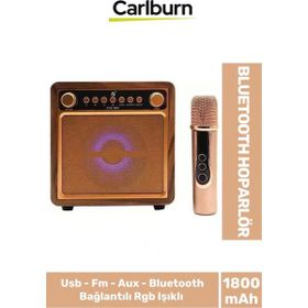 Carlburn KTS-1687 Bluetooth Hoparlör