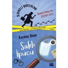 Carmind Karbon Kapı ve Tampon Eşiği Set Sticker