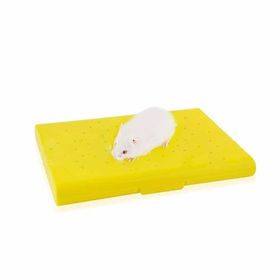 Carno Soğutucu Buz Torbalı 14x10x1 cm Hamster Yatağı