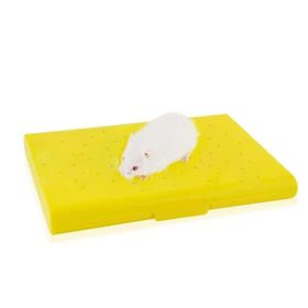Carno Soğutucu Buz Torbalı 14x10x1 cm Hamster Yatağı