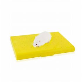 Carno Soğutucu Buz Torbalı 14x10x1 cm Hamster Yatağı