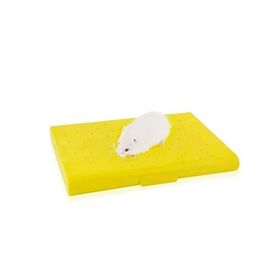 Carno Soğutucu Buz Torbalı 14x10x1 cm Hamster Yatağı