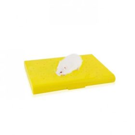 Carno Soğutucu Buz Torbalı 14x10x1 cm Hamster Yatağı