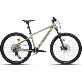 Carraro Crx 912 29 Jant 12 Vites 520H HD Mat Bej Yeşil Dağ Bisikleti