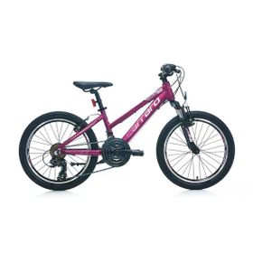 Carraro Force 201 250H V 20 Jant 21 Vites Mat Mürdüm Pembe Kız Çocuk Bisikleti