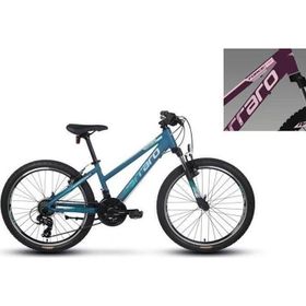 Carraro Force 401 325H V 24 Jant 21 Vites Mat Mürdüm Pembe Dağ Bisikleti