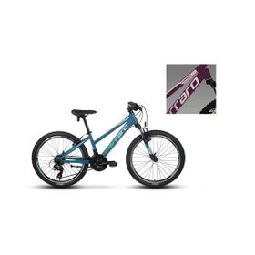 Carraro Force 401 325H V 24 Jant 21 Vites Mat Mürdüm Pembe Dağ Bisikleti