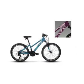 Carraro Force 401 325H V 24 Jant 21 Vites Mat Mürdüm Pembe Dağ Bisikleti