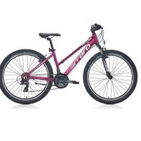 Carraro Force 601 21 Vites VB 26 Jant Mat Mürdüm Pembe Dağ Bisikleti