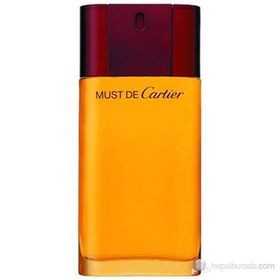 Cartier Must De Pour Homme EDT 100 ml Erkek Parfümü