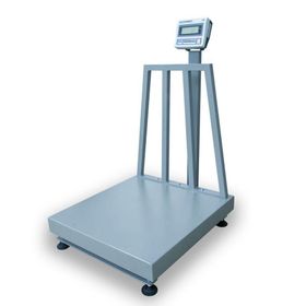 CAS 60 70 300 kg Paslanmaz Baskül