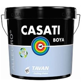 Casati Allegro 17.5 kg Tavan Boyası