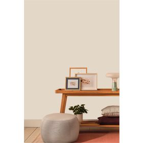 Casati Allegro C123 Sedef 10 kg Silikonlu Plastik İç Cephe Boyası