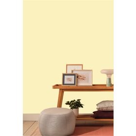 Casati Allegro C123 Sedef 10 kg Silikonlu Plastik İç Cephe Boyası