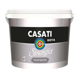 Casati Sinergia 10 kg Tavan Boya