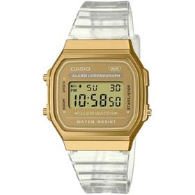 Casio A168XESG-9ADF Kadın Kol Saati