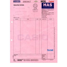 Casio AW-591-2AVDR Erkek Kol Saati