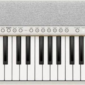 Casio CT-S1 61 Tuşlu Org