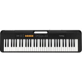Casio CT-S100C2 61 Tuşlu Casiotone Org