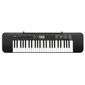 Casio CTK 240 Org