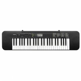 Casio CTK 240 Org
