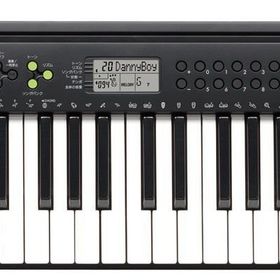 Casio CTK 240 Org