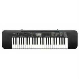Casio CTK 240 Org