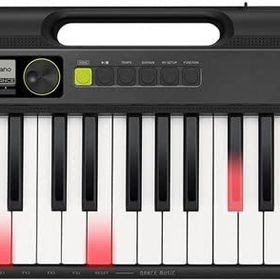 Casio LK-S250 Işıklı 61 Tuşlu Org