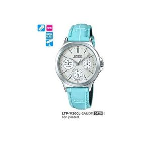 Casio LTP-V300L-2AUDF Kadın Kol Saati