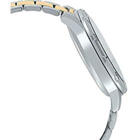 Casio MTP-VD01SG-1BVUDF Erkek Kol Saati