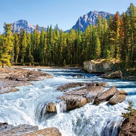 Castorland Athabasca River Jasper 1500 Parça Puzzle
