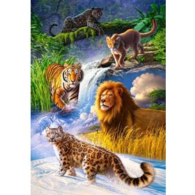 Castorland Büyük Kediler 1000 Parça Puzzle