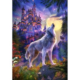 Castorland Castle 1000 Parça Puzzle