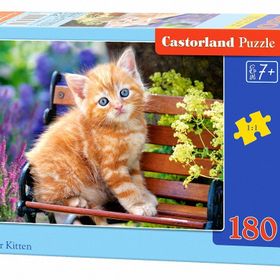 Castorland Ginger Kitten 180 Parça Puzzle