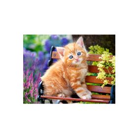 Castorland Ginger Kitten 180 Parça Puzzle