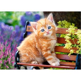Castorland Ginger Kitten 180 Parça Puzzle