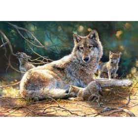 Castorland Grace Under Pressure 1500 Parçalık Puzzle
