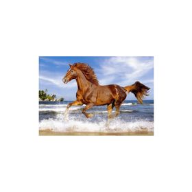 Castorland Horse On The Beach 500 Parça Puzzle
