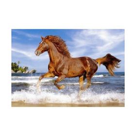Castorland Horse On The Beach 500 Parça Puzzle